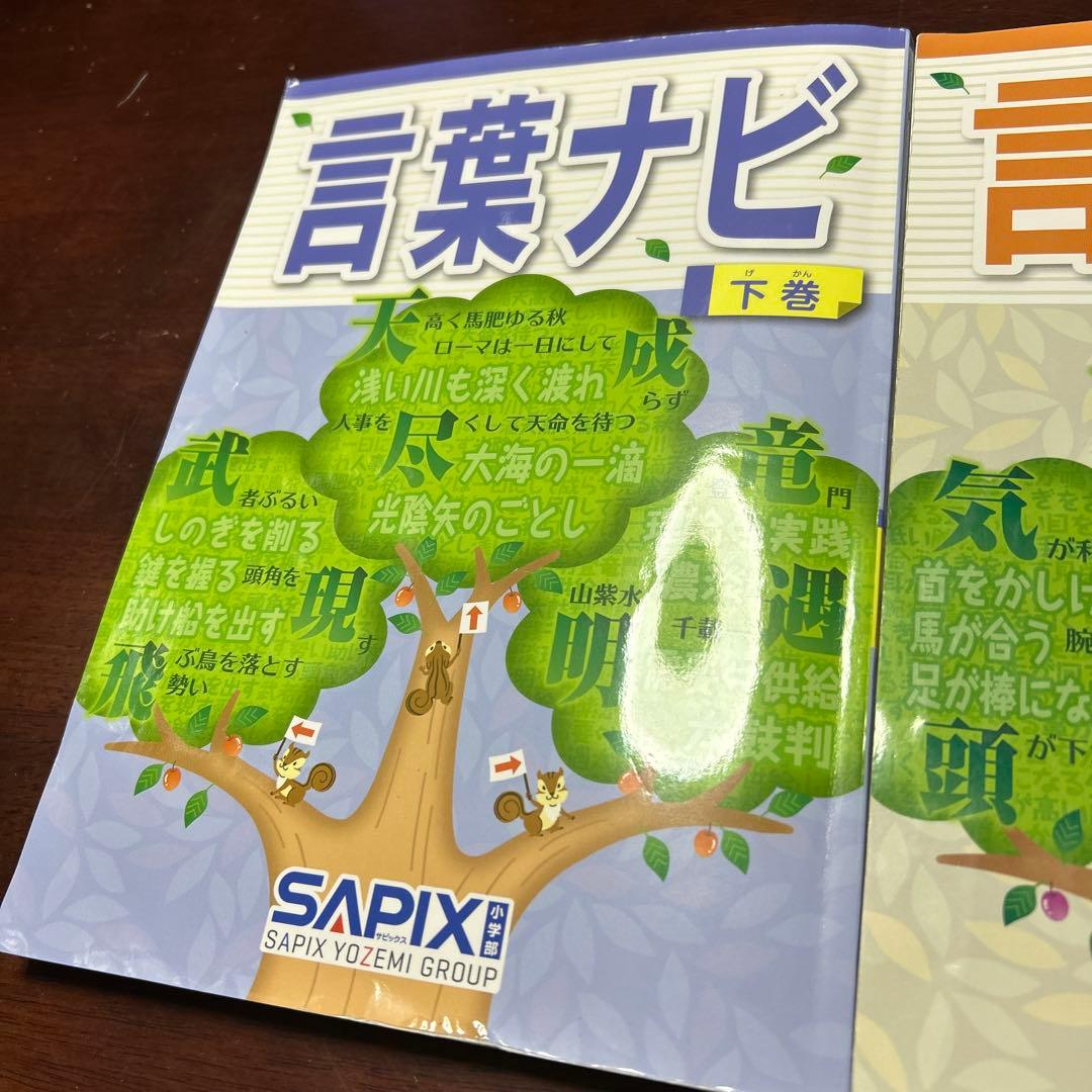22-20か　重要教材　サピックス　SAPIX 言葉ナビ 上巻・下巻　未記入❣️