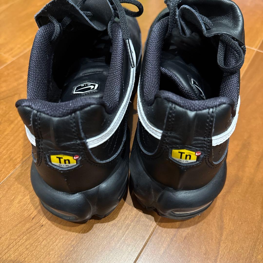 Nike Air Max Plus ブラック　tiempo