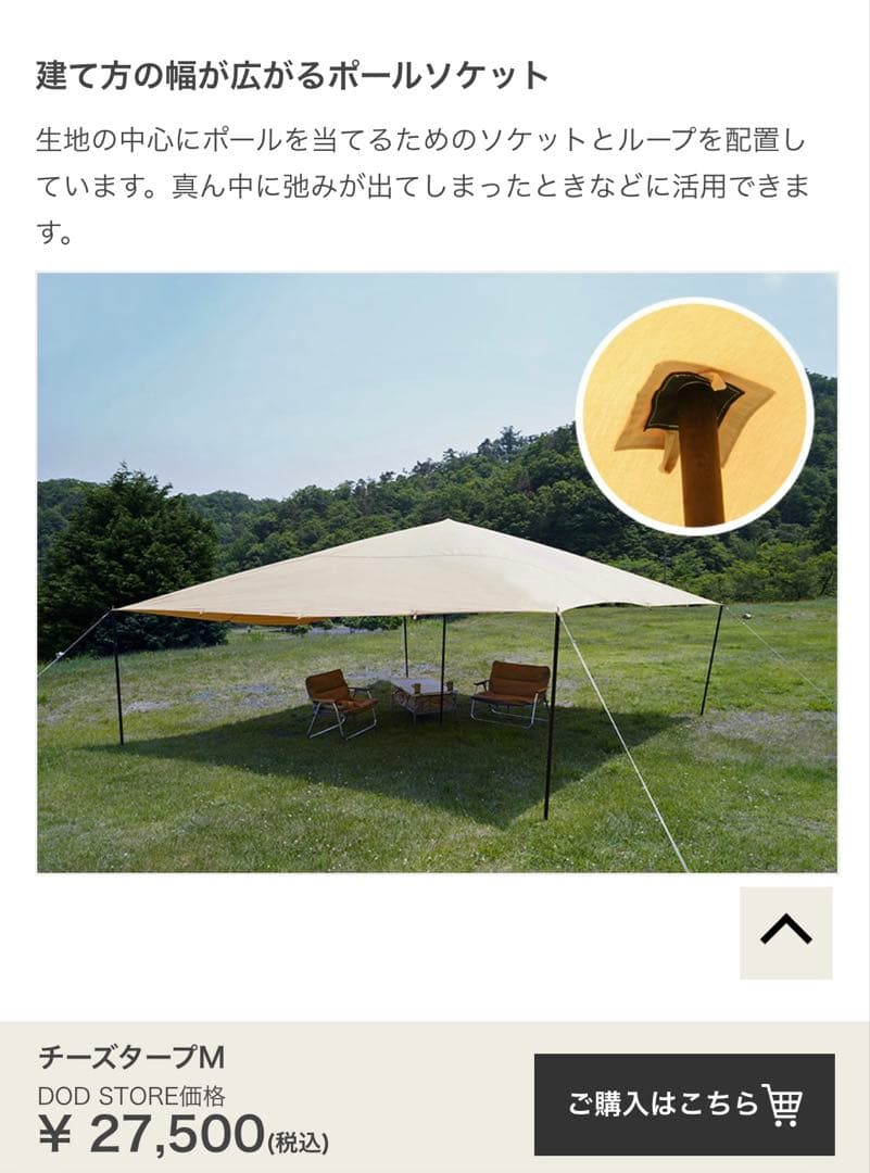 DOD チーズタープM おまけ付き