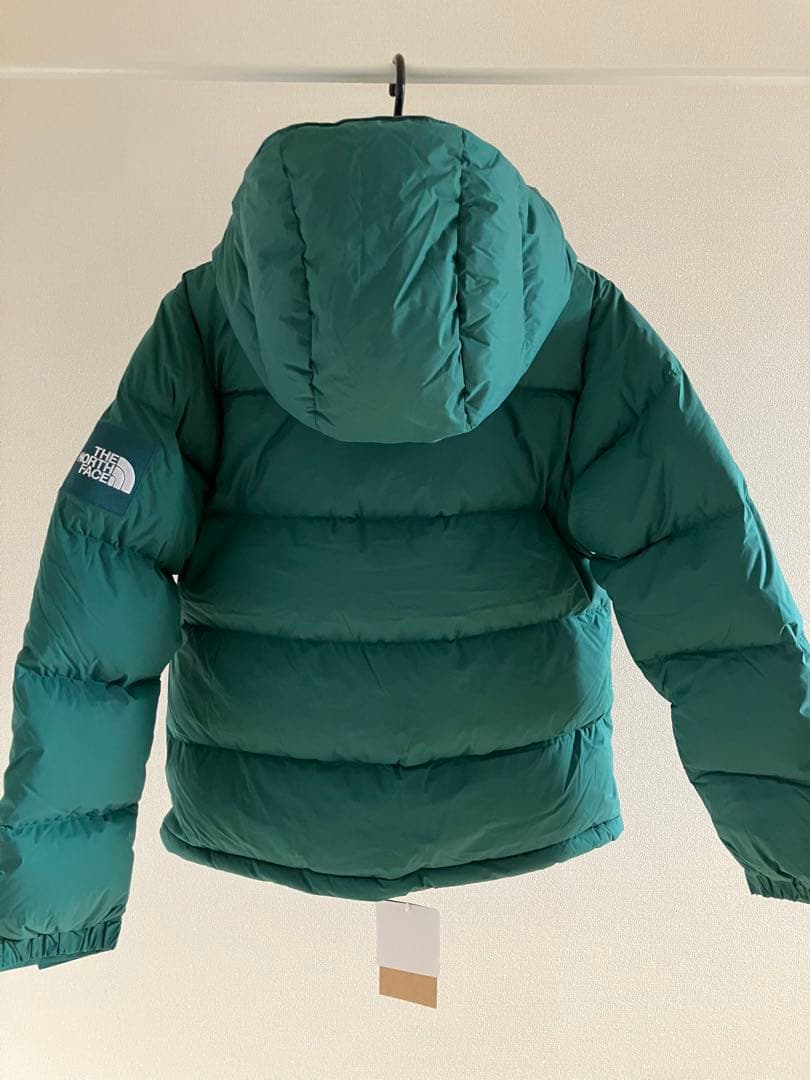 THE NORTH FACEキャンプシエラショートダウン L NDW92230