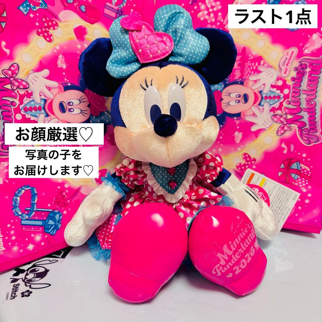 【匿名配送】　パルパルーザ　ぬいぐるみ　ミニーのファンダーランド　2026