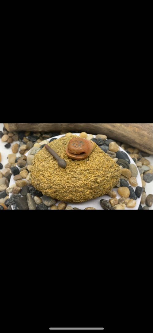 木魚