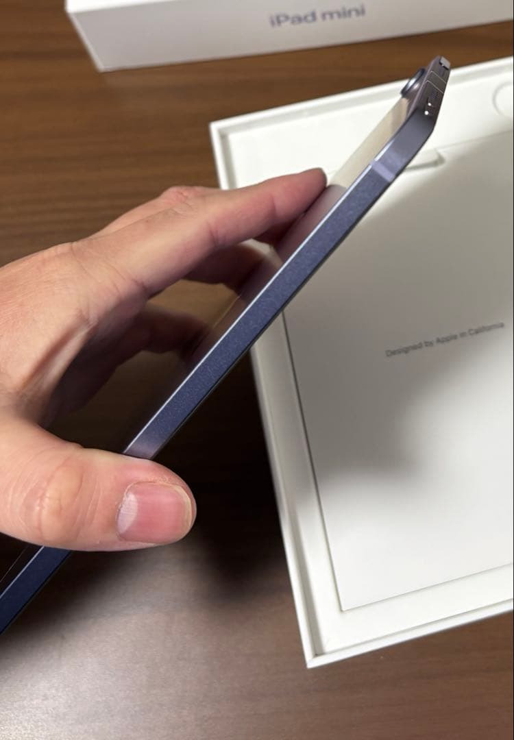 iPad本体 Apple iPad mini Wi-Fi+Cellular 256GB