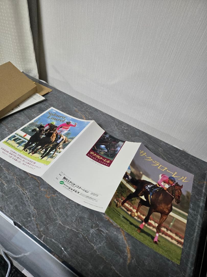 ロビンページです。