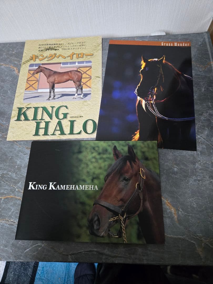 ロビンページです。