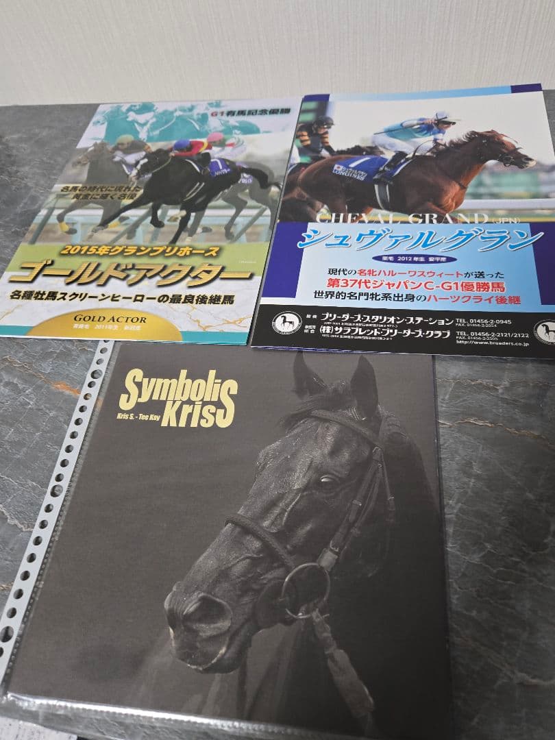 ロビンページです。