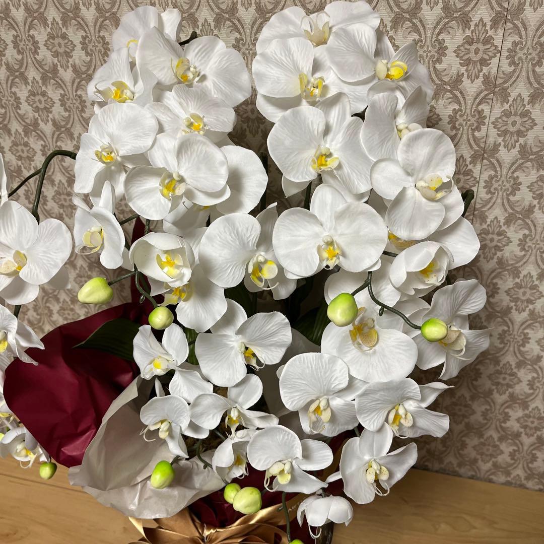 胡蝶蘭　造花　5本立て　40輪+10つぼみ　￼光触媒　高さ66cm