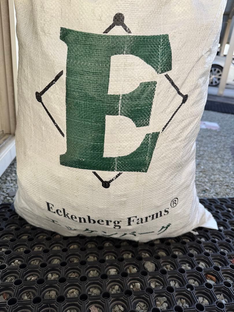 ヘイキューブ　29キロ