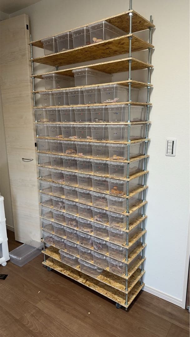 爬虫類　棚　1m レオパマンション　ニシアフマンション