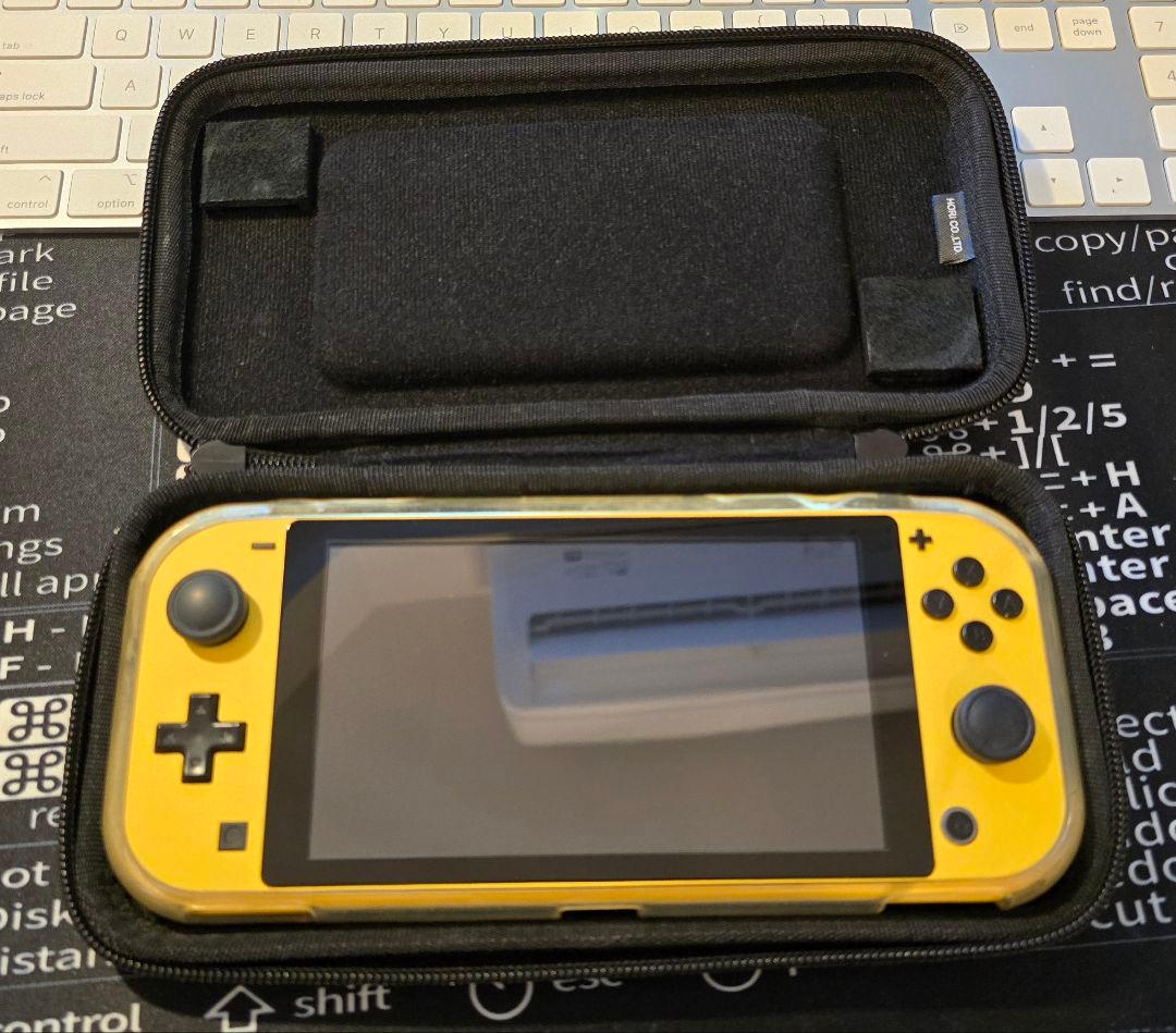 Nintendo Switch Nintendo Switch lite