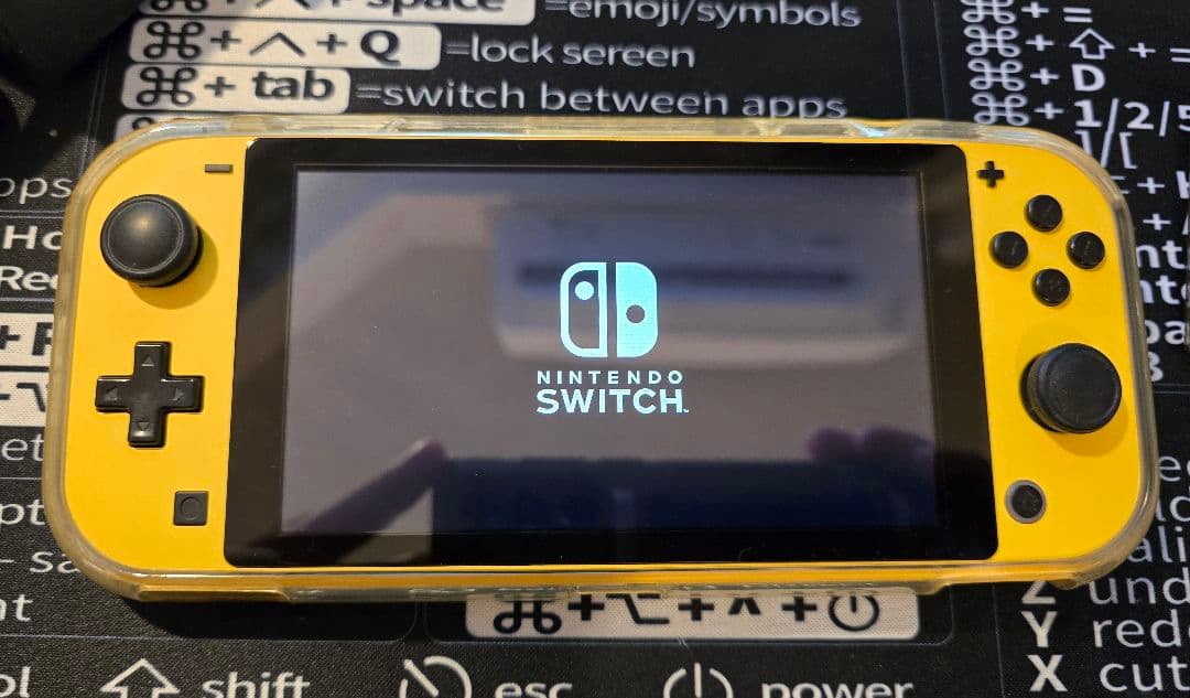 Nintendo Switch Nintendo Switch lite