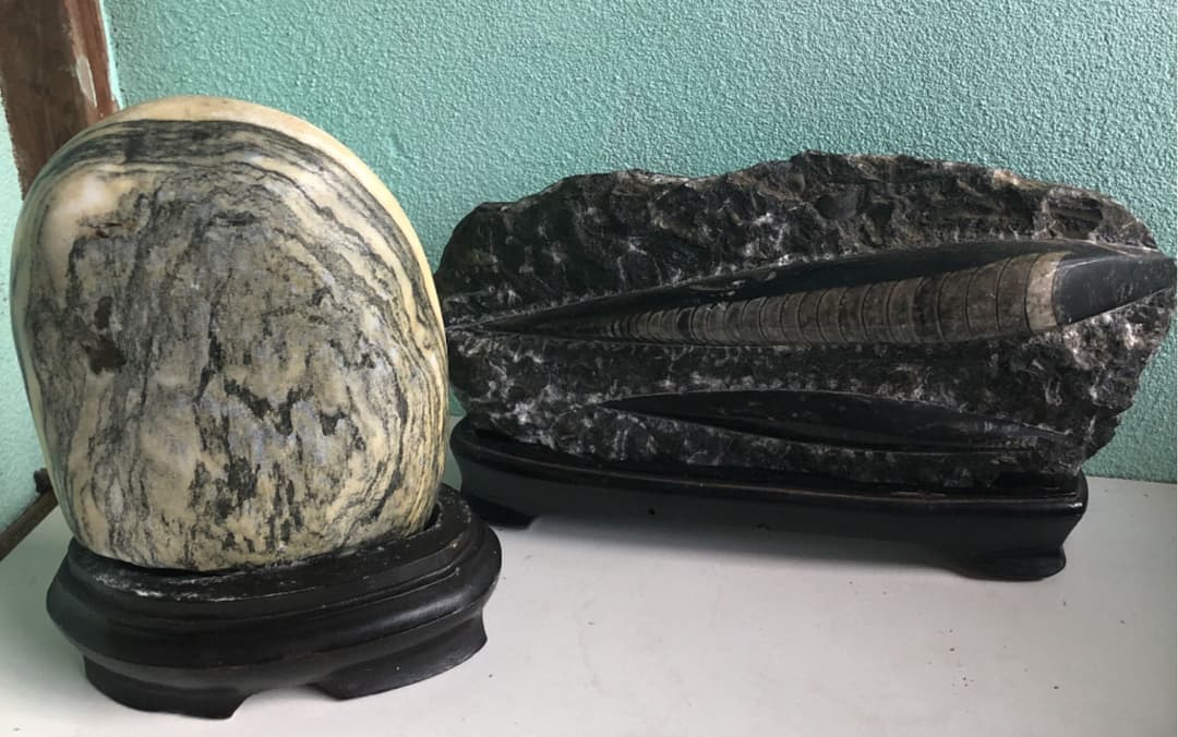 置物　化石　石　　骨董品　2点