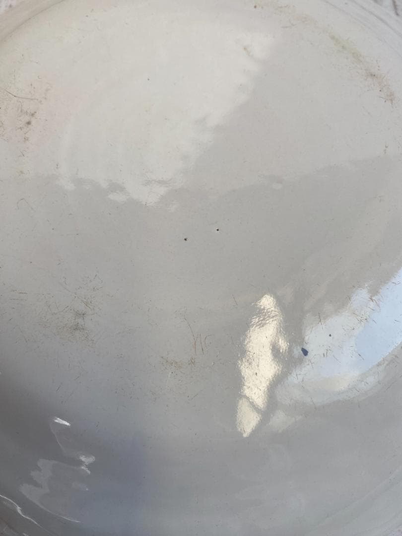 【美品】フランス アンティーク 19世紀 ムスティエ 花リム 24cm プレート