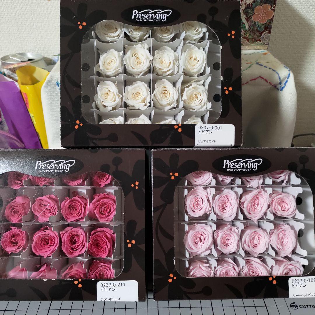 匿名配送☆大地農園 ビビアン 3色×16輪