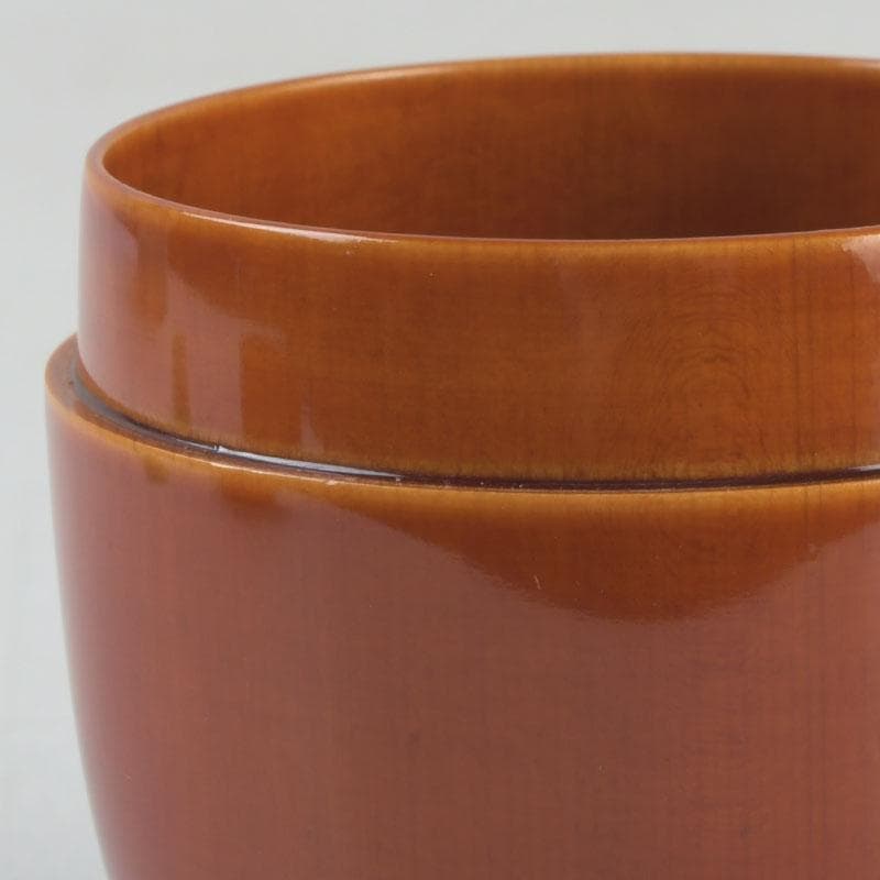 茶道具　飛騨春慶塗　中棗　箱付　V　9687