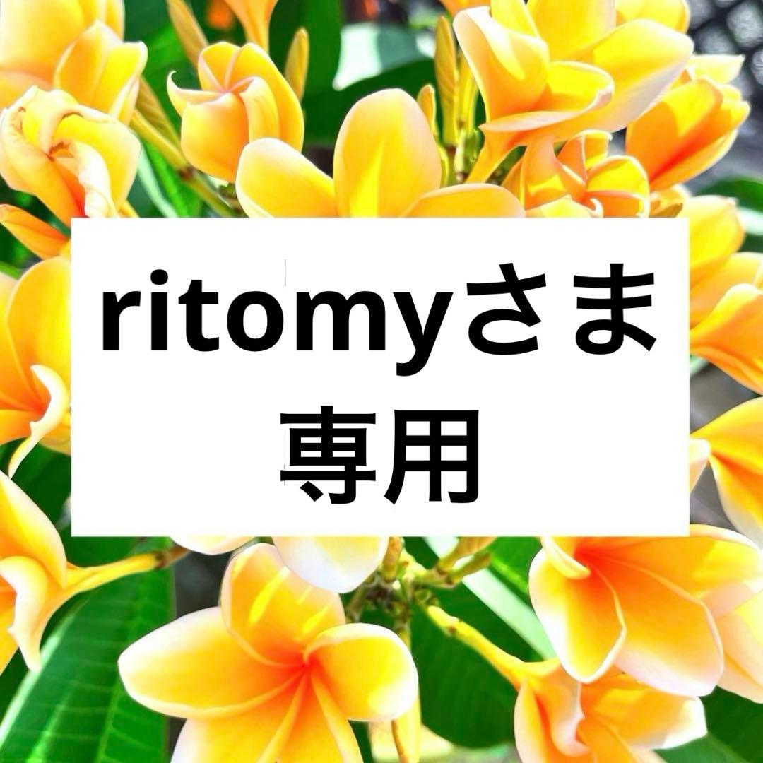 ritomyさま専用ページ