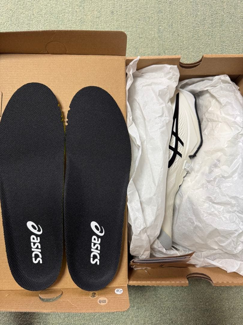 アシックス　ゲルレゾリューションX (25.0cm)