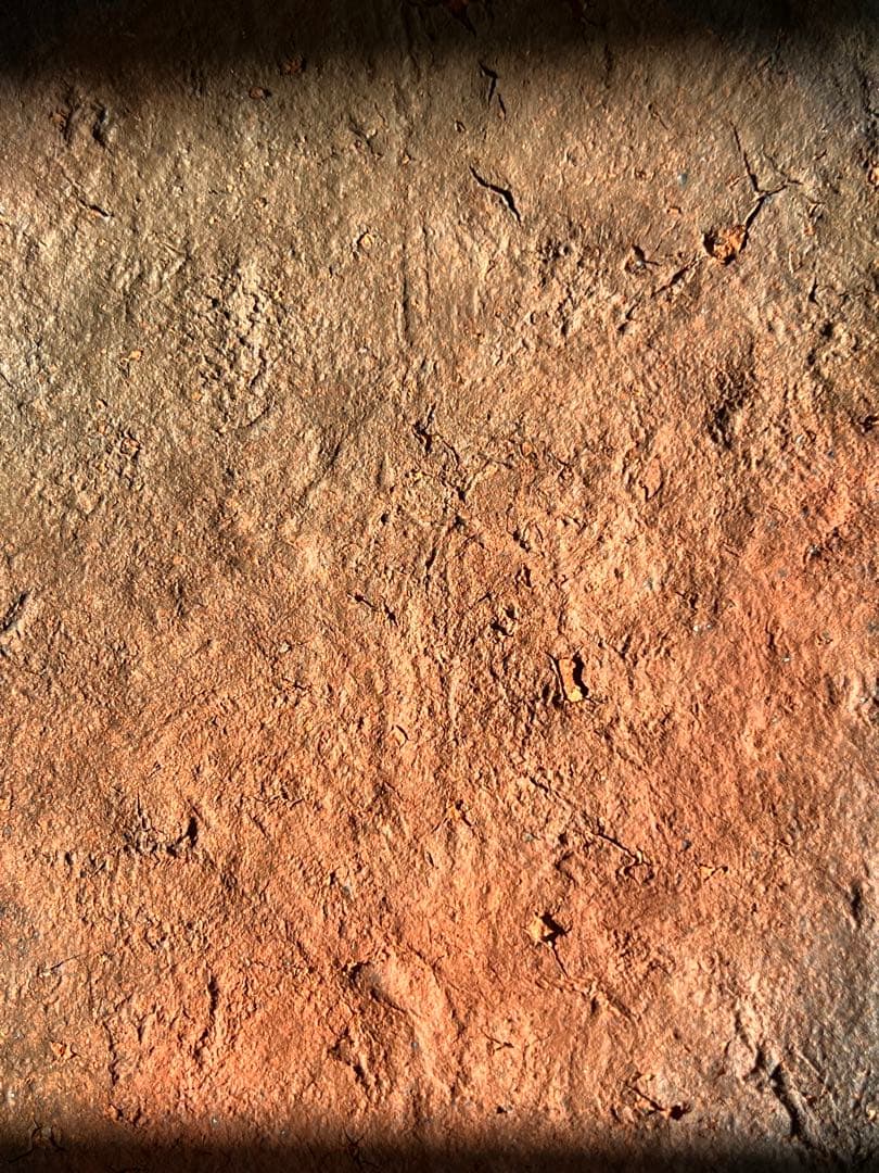 伊部　四方皿　金重巌