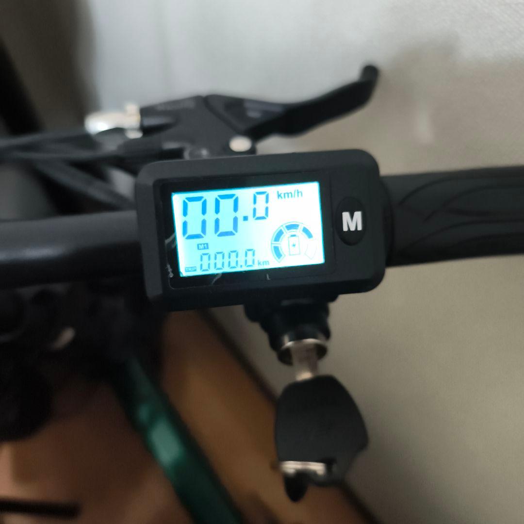 Ripwheast 電動アシスト自転車 グリーン