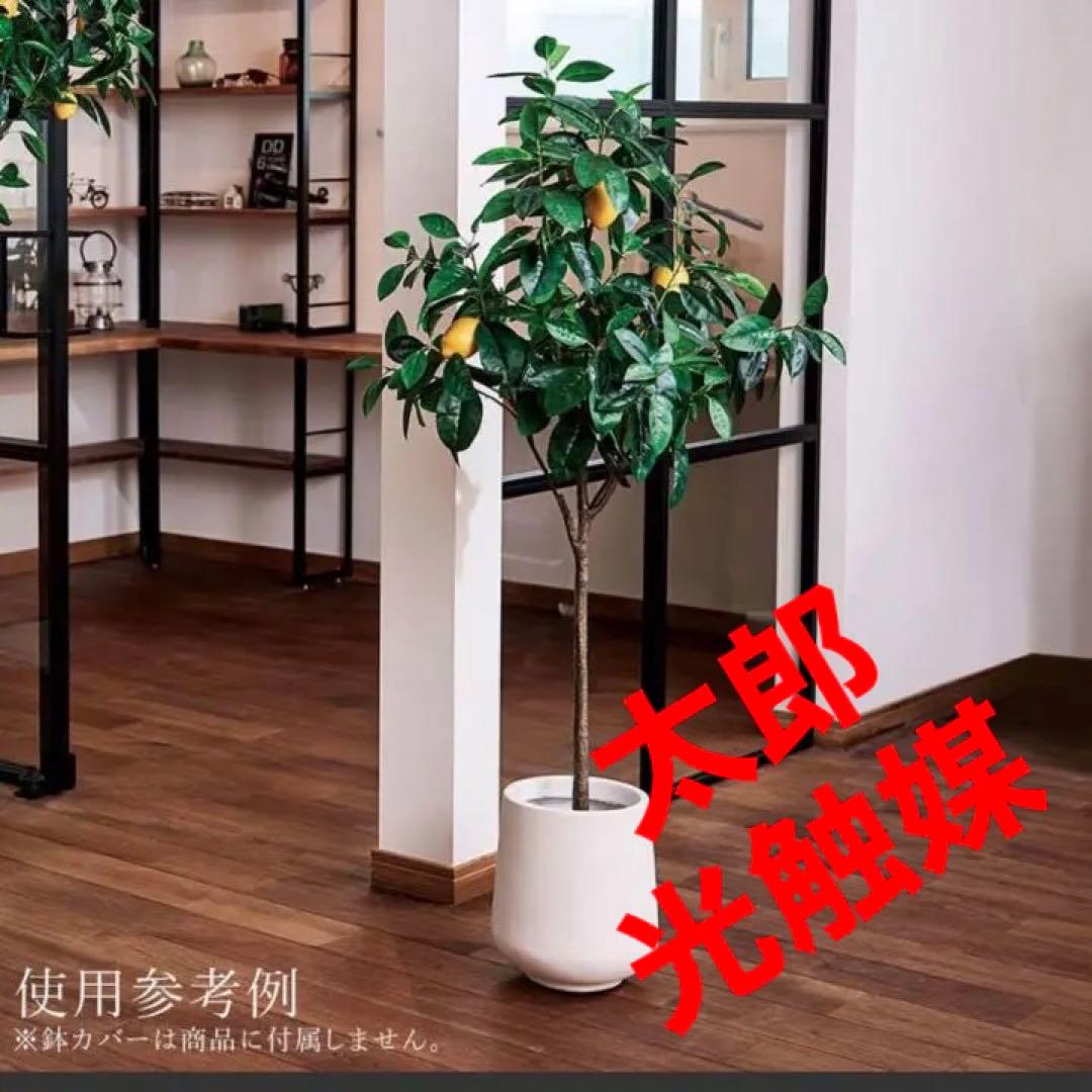 光触媒　人工観葉植物　ウォールグリーン　フェイクグリーン　レモンの木gj