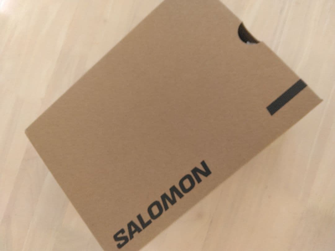 ★【国内正規品・新品】サロモン　X-ADVENTURE GTX W　24.5㎝