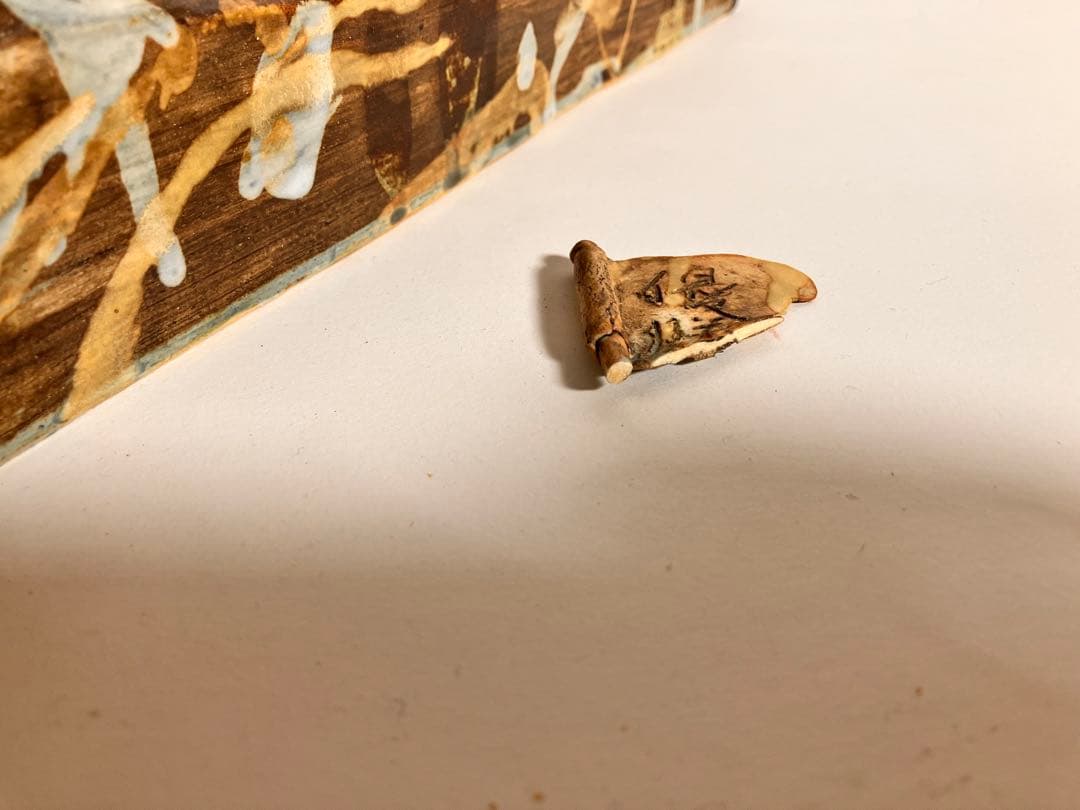 京都　正文　亀凱歌