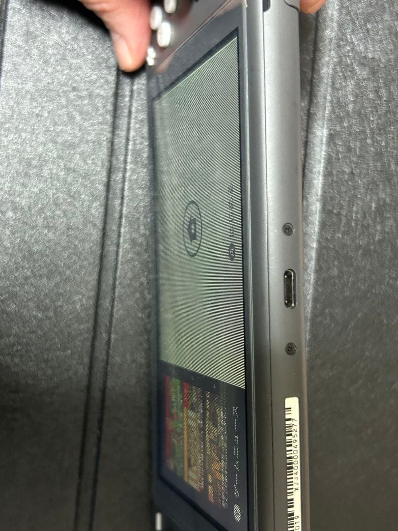 Nintendo Switch Lite 液晶のみ不良