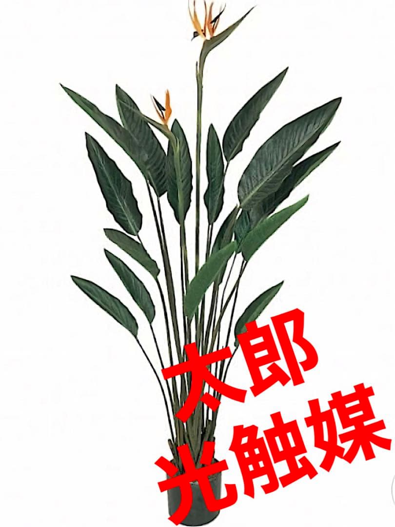 光触媒　人工観葉植物　ウォールグリーン　フェイクグリーン　ストレチア極楽鳥花付き