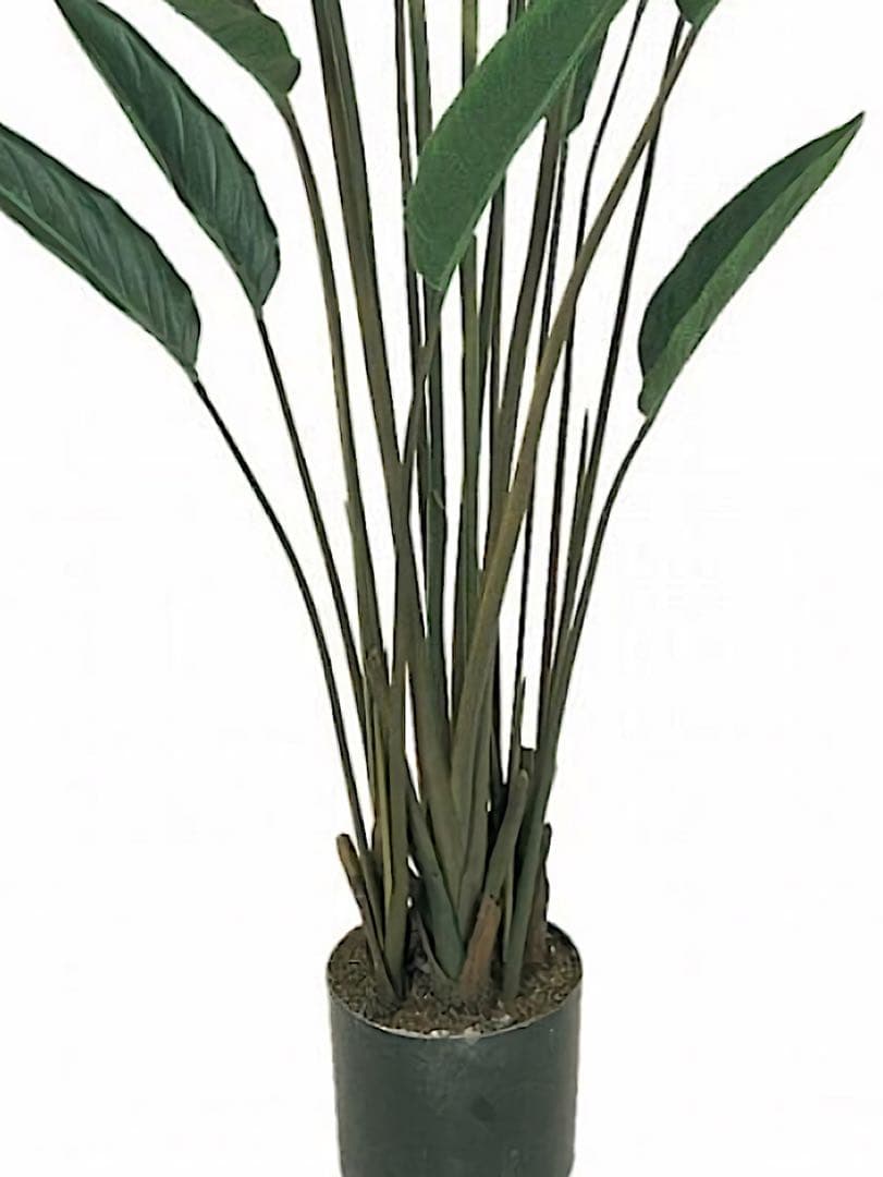 光触媒　人工観葉植物　ウォールグリーン　フェイクグリーン　ストレチア極楽鳥花付き
