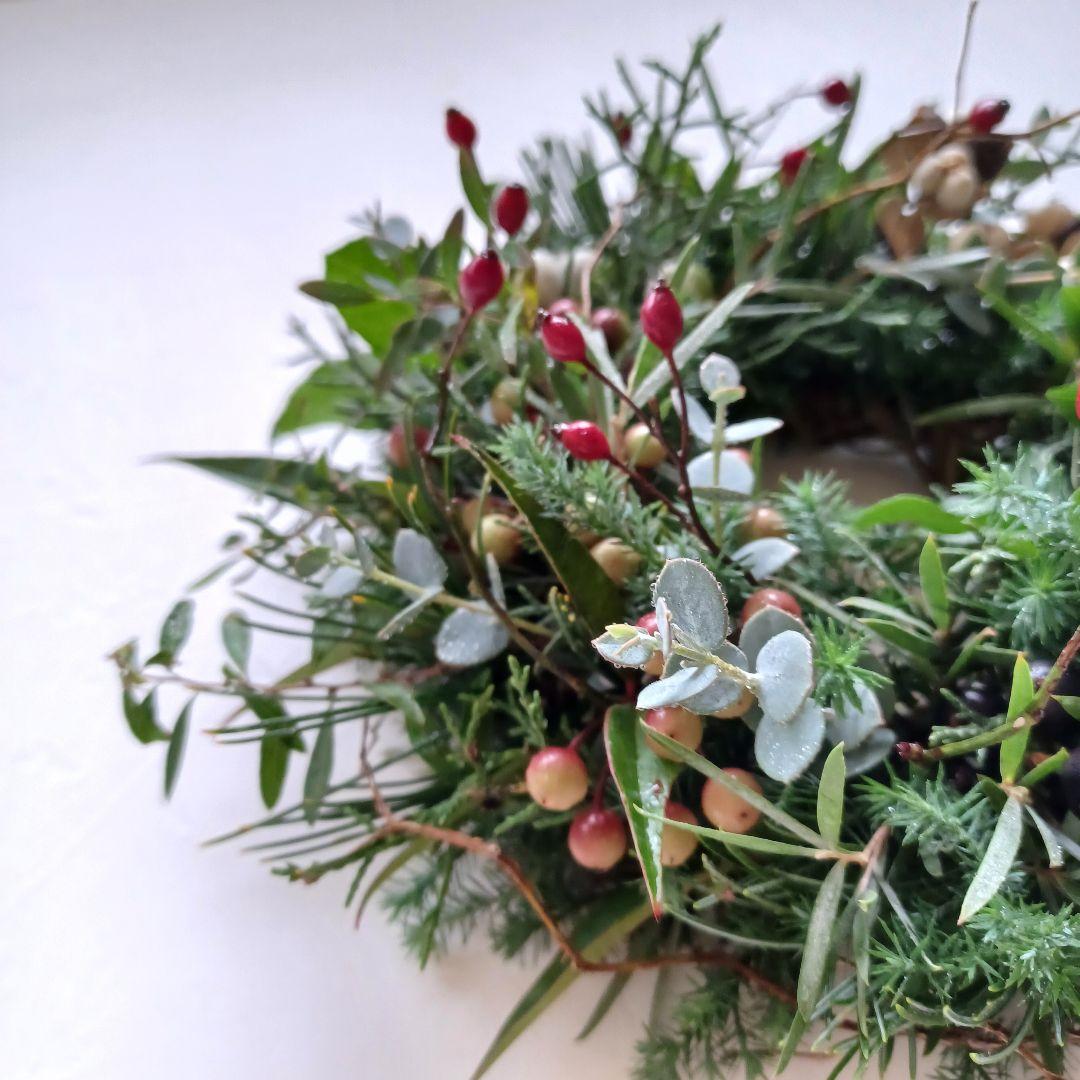 【魔女の棲む森 ～花は野にあるように～】ドライフラワー リース クリスマスリース