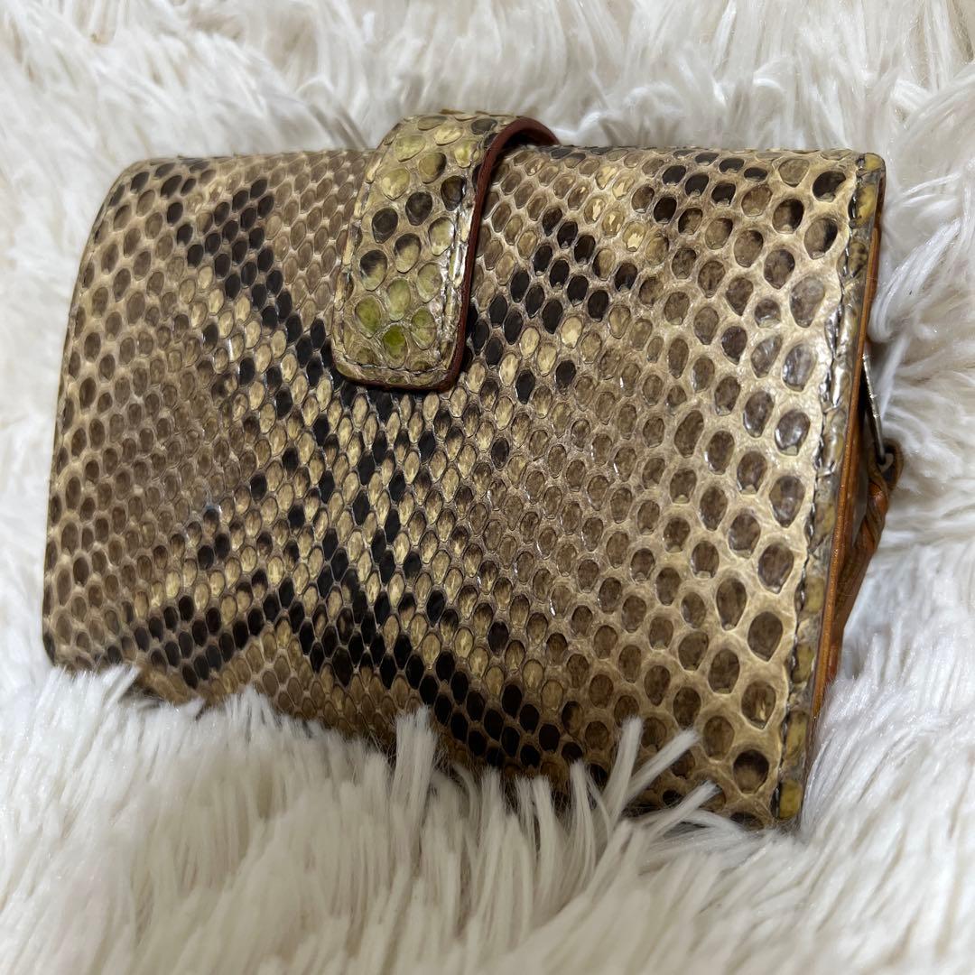 isolaパイソン財布　本革　ジャバラ　コロコロ財布　アイソラ