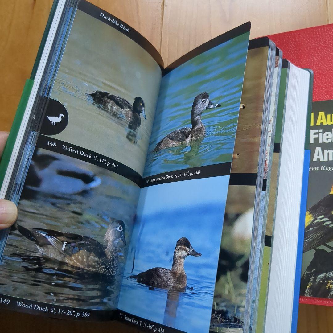アメリカの野鳥、哺乳類図鑑3冊セット