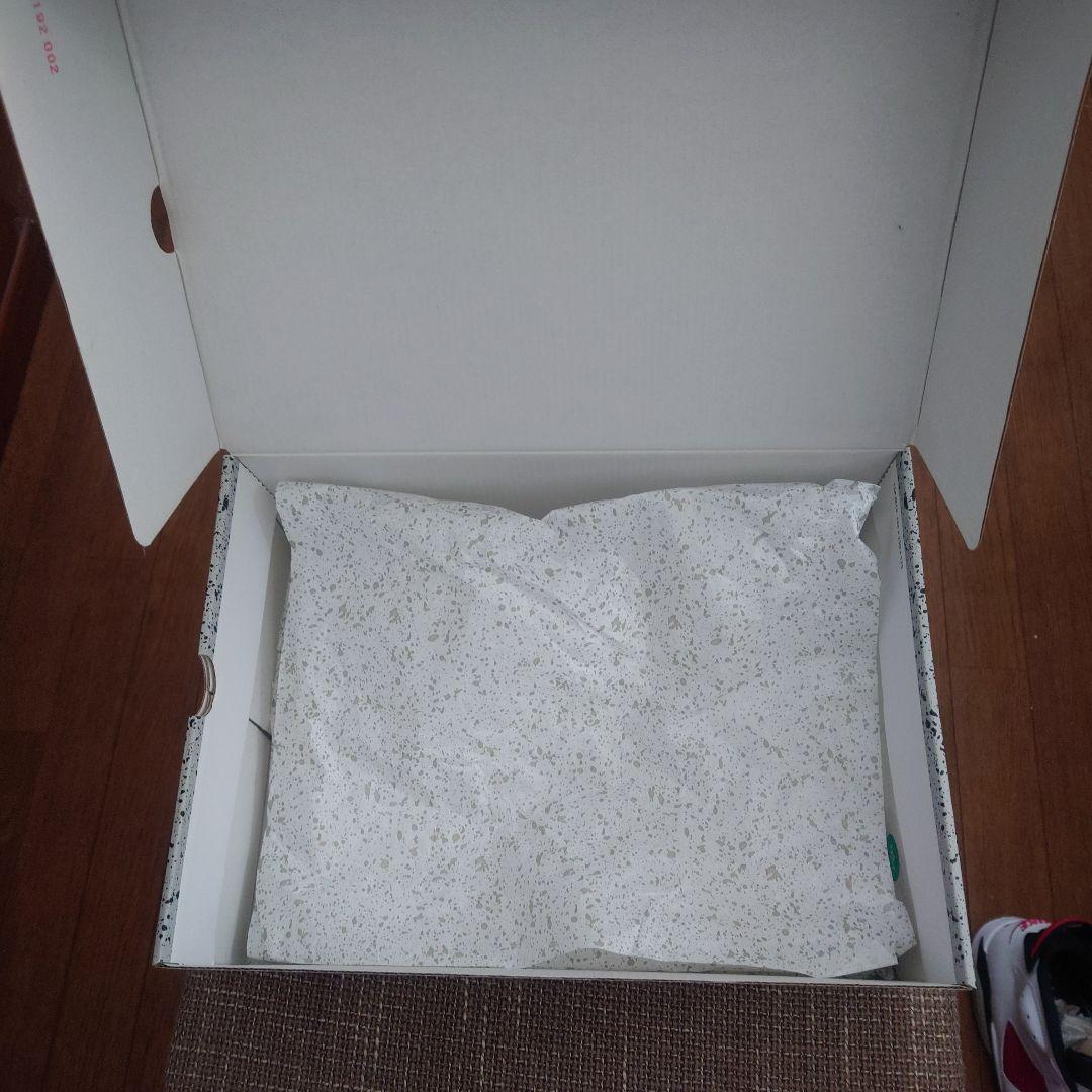 Nike Air Jordan 6 retro /カーマイン