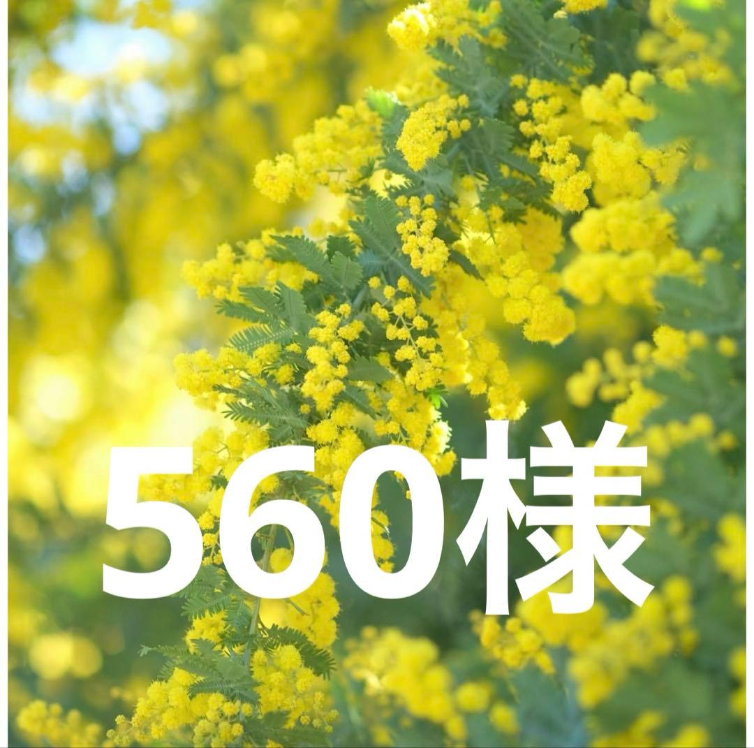 花束・切花 560