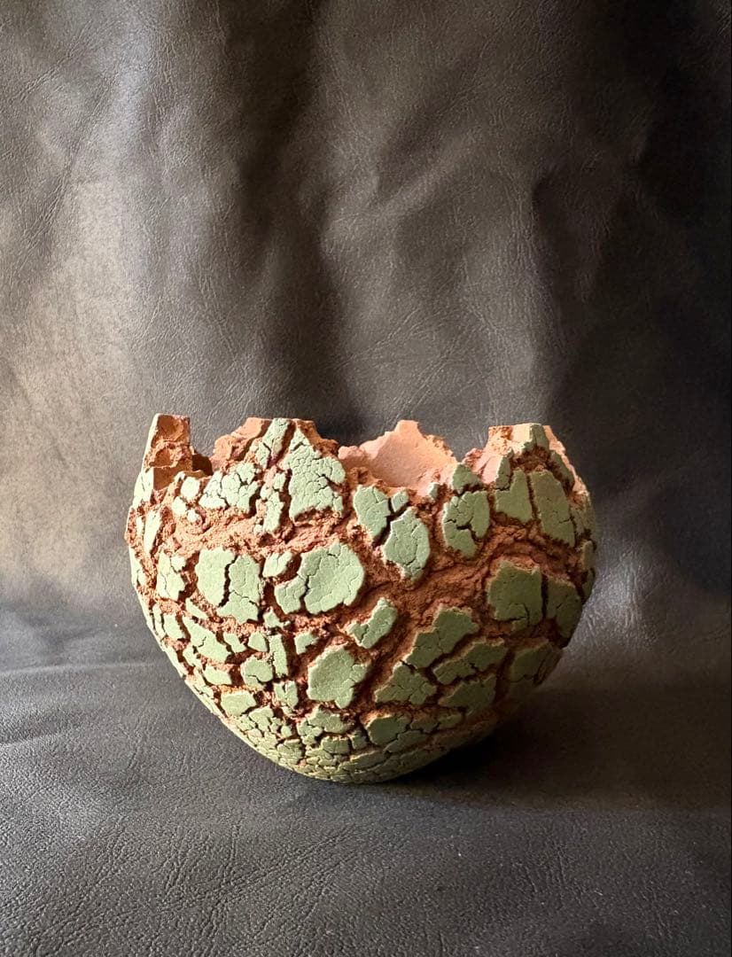 鉢・プランター Konect fang explorer XS