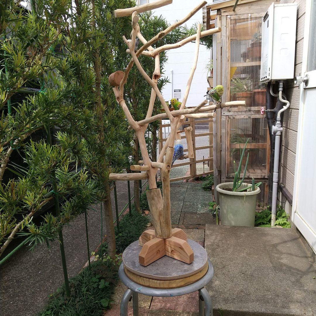 小鳥の楽園バードアスレチックツリージム