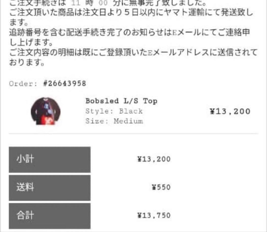 Supreme 20AW Bobsled L/S Top 両面プリント