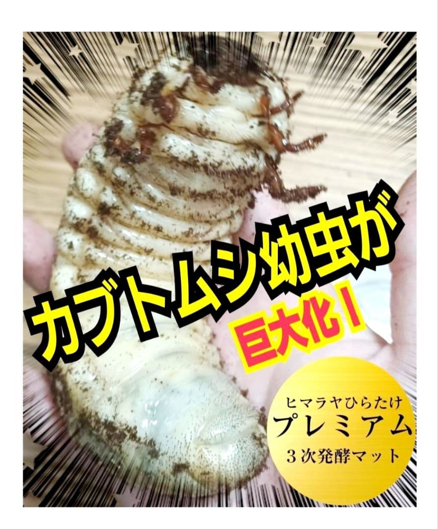 大量飼育に！たっぷり90リットル(9袋)　極上！プレミアム発酵ヘラクレスマット