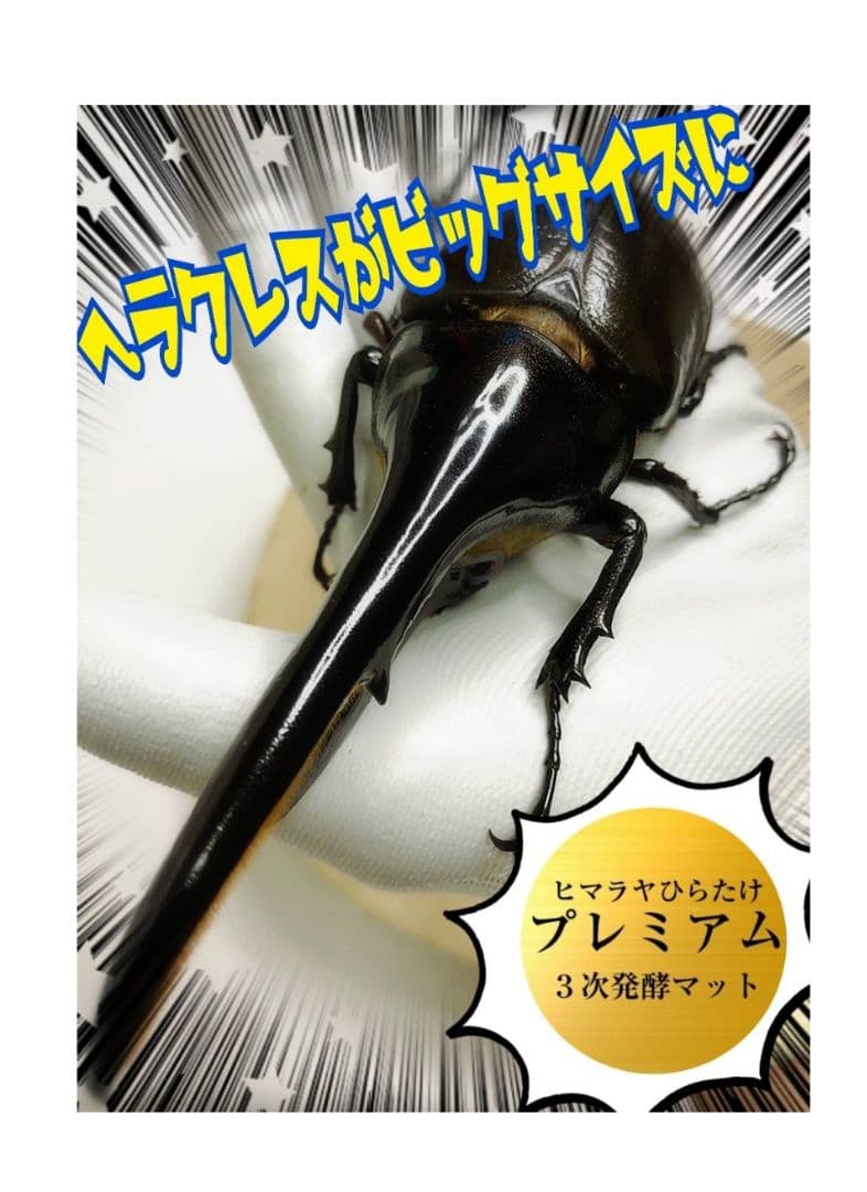 大量飼育に！たっぷり90リットル(9袋)　極上！プレミアム発酵ヘラクレスマット