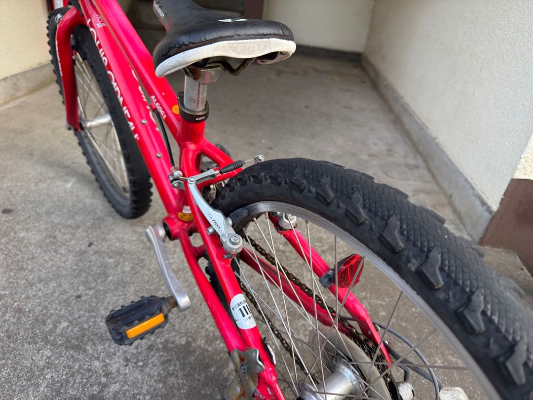 ルイガノ 22インチ 子供用自転車