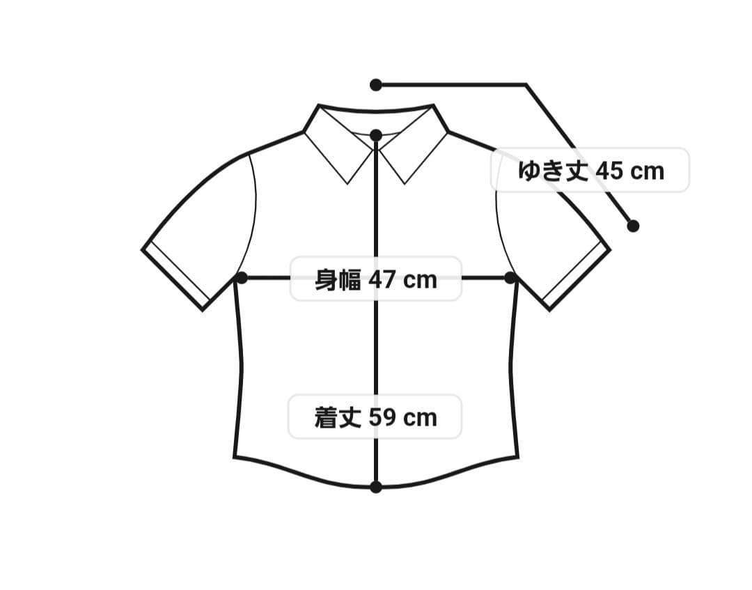 2024 Ballsey マーガレットカットジャカード ウエストギャザーブラウス