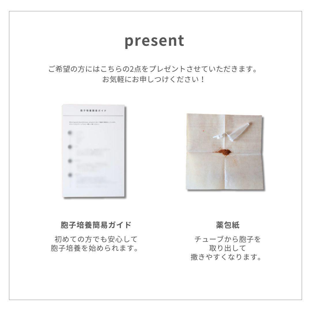 胞子9種セット