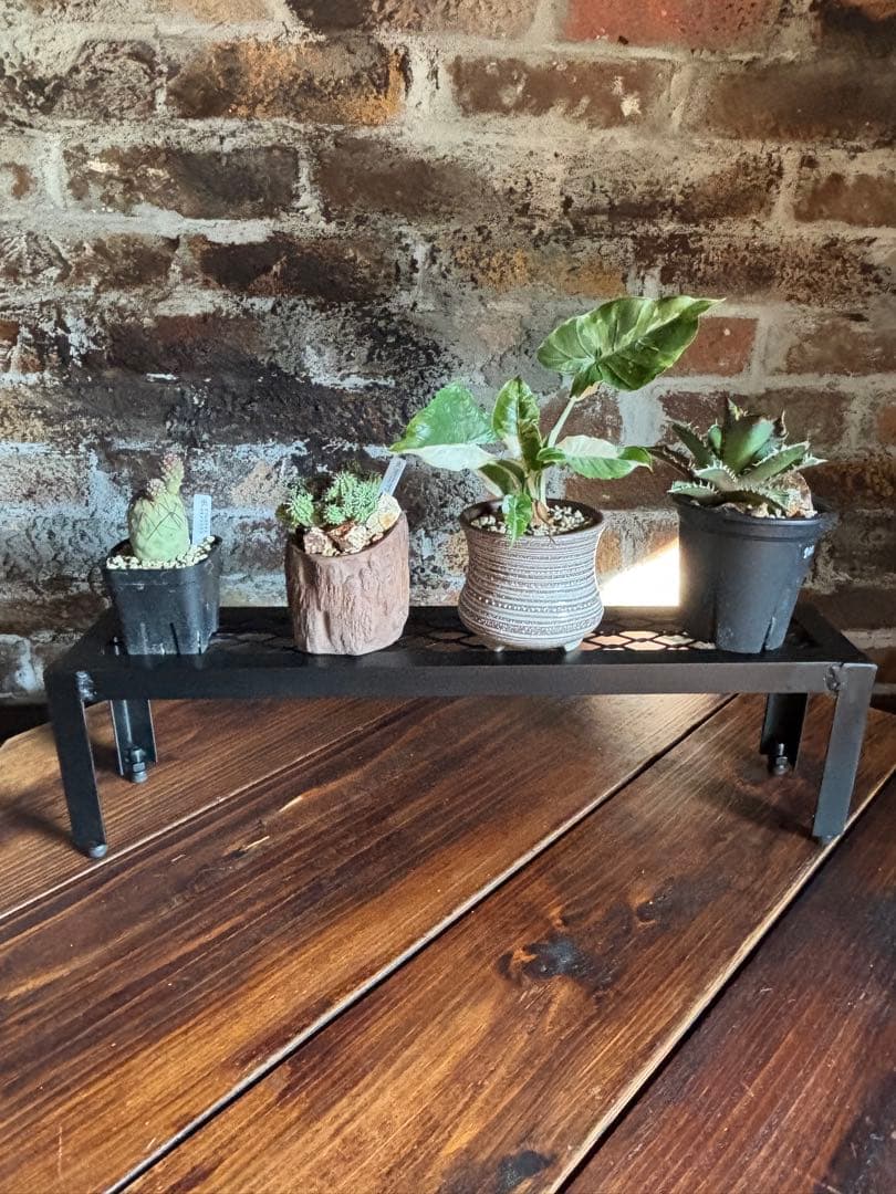 アイアン棚 アイアンシェルフ　即納可能