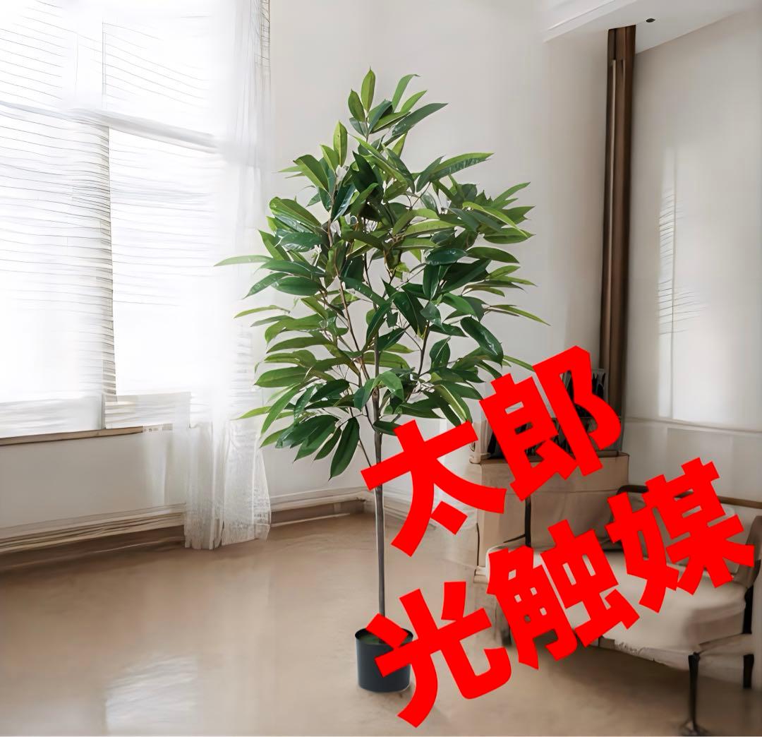 光触媒　人工観葉植物　ウォールグリーン　フェイクグリーン　ショウナンゴム180