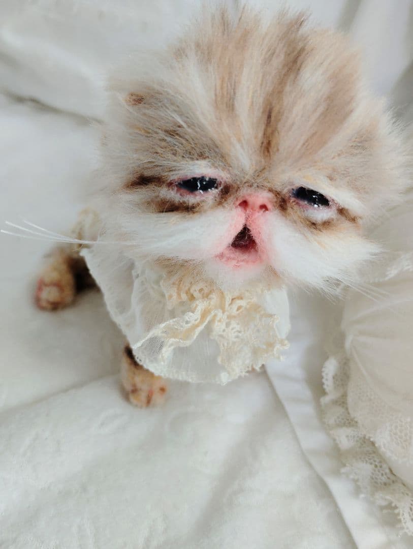 pecochan様御予約❤生後8日子猫ちゃん♡本当にミルク飲めるよ♡ちー出ます♡