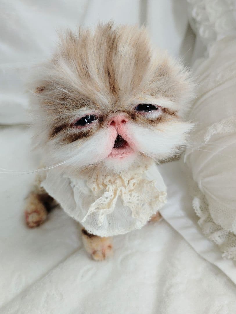 pecochan様御予約❤生後8日子猫ちゃん♡本当にミルク飲めるよ♡ちー出ます♡