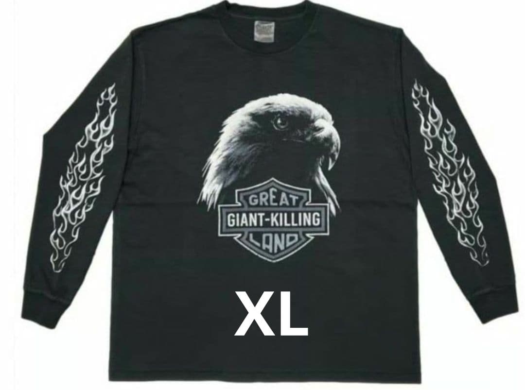 た*い様 greatLAnd KIMERA HD LS ONEITA 5year