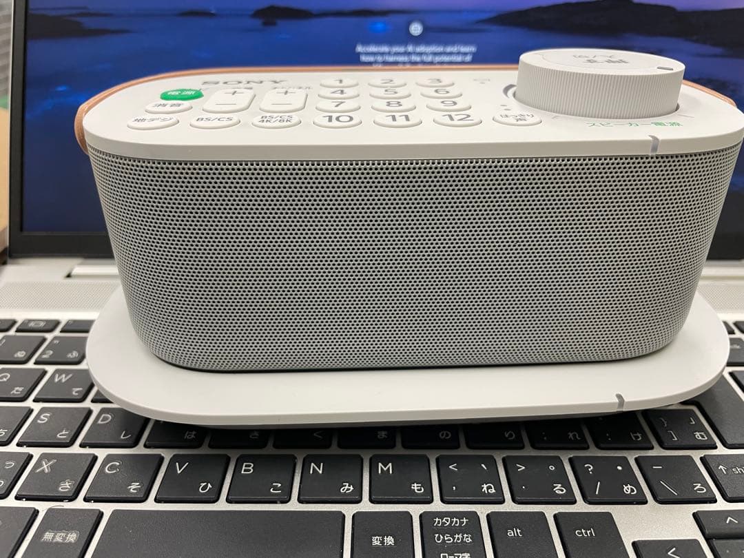 SONY テレビスピーカー SRS-LSR200