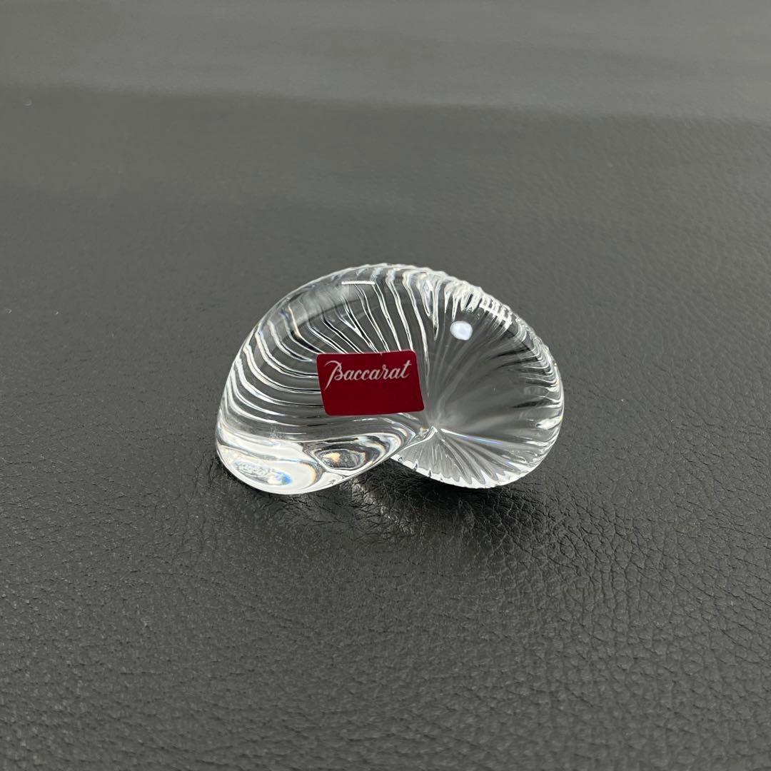 Baccara アンモナイト 置物 ペーパーウェイト オウムガイ 貝