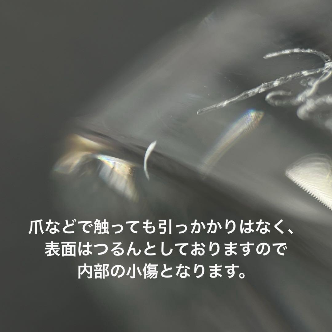 Baccara アンモナイト 置物 ペーパーウェイト オウムガイ 貝